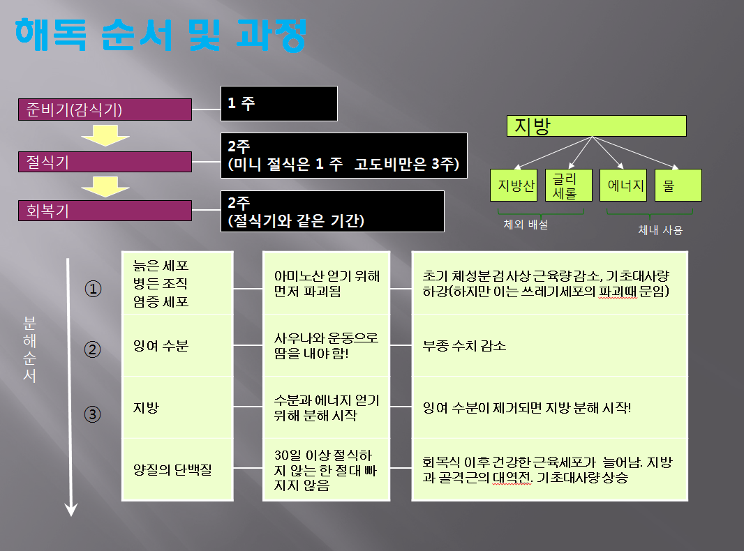 해독순서 및 과정
