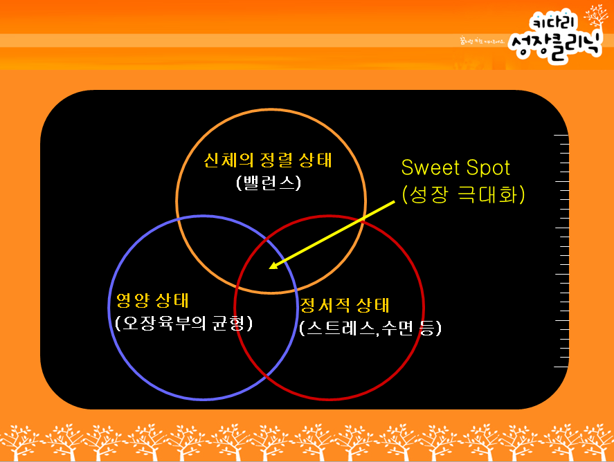 성장표