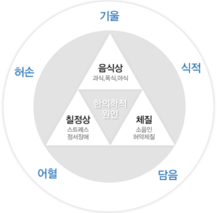 한의학적 원인